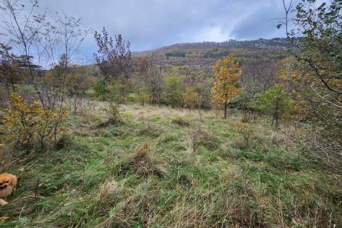 Istra, Buzet, Dolenja Nugla - građevinsko i nerađevinsko zemljište