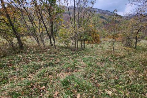 Istra, Buzet, Dolenja Nugla - građevinsko i nerađevinsko zemljište