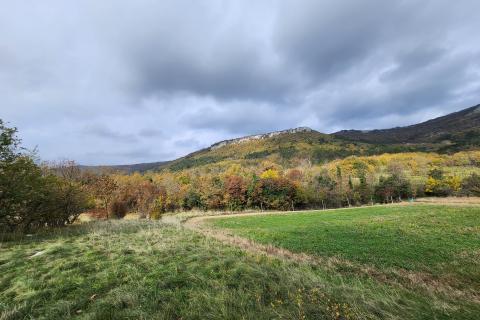Istra, Buzet, Dolenja Nugla - građevinsko i nerađevinsko zemljište