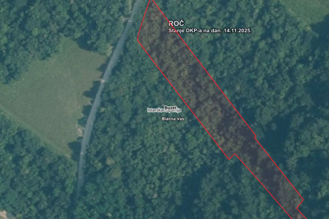 Isra, Buzet Čiritež - 9290m2, poljoprivredno zemljište