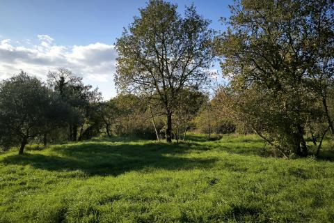 Istra, Marčana - građevinsko zemljište, površine 500m2