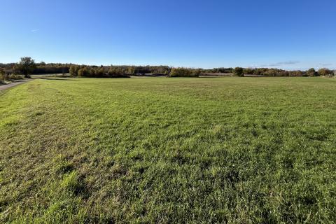 Kaštelir, okolica - poljoprivredno zemljište veličine 32000 m2