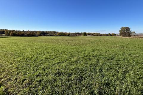 Kaštelir, okolica - poljoprivredno zemljište veličine 32000 m2