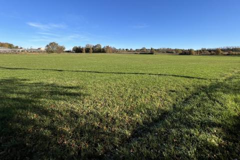 Kaštelir, okolica - poljoprivredno zemljište veličine 32000 m2