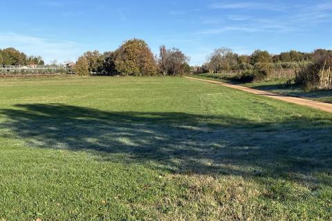 Kaštelir, okolica - poljoprivredno zemljište veličine 32000 m2