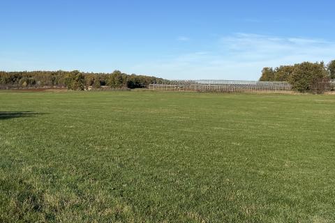 Kaštelir, okolica - poljoprivredno zemljište veličine 32000 m2