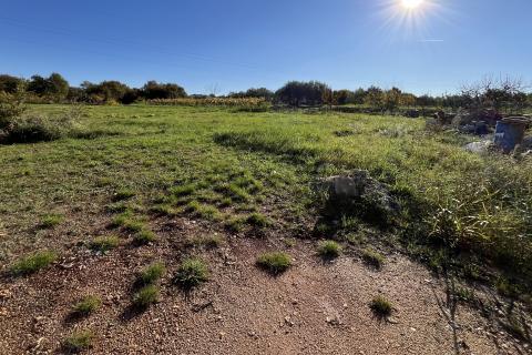 Istra, Poreč, okolica - građevinsko zemljište na rubu manjeg naselja