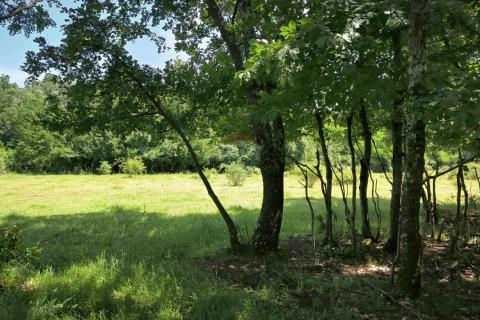 Istra, Kaštelir, okolica - poljoprivredno zemljište s pogledom na more