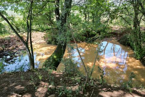 Istra, Kaštelir, okolica - poljoprivredno zemljište s pogledom na more