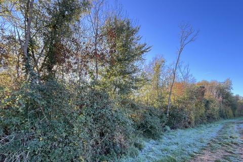 Istra, Kaštelir, okolica - poljoprivredno zemljište s pogledom na more