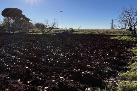 Istra, Kaštelir - građevinsko zemljište 