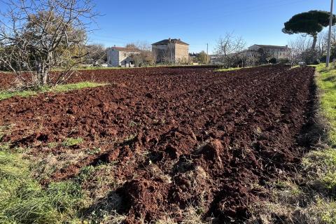 Istra, Kaštelir - građevinsko zemljište 