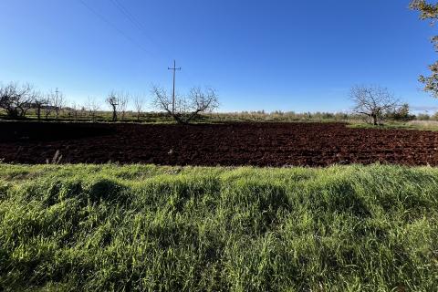 Istra, Kaštelir - građevinsko zemljište 