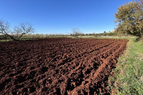 Istra, Kaštelir - građevinsko zemljište 