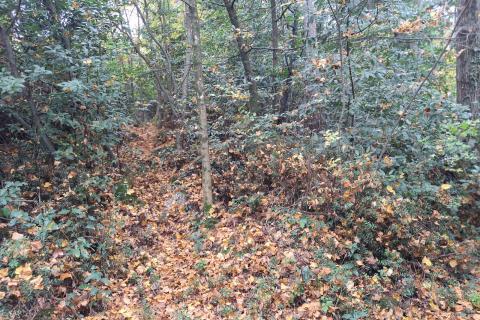 Opatija, Pobri - građevinsko zemljište 802 m2