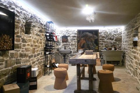 Istra,Oprtalj-Kamena vila jedinstvenog dizajna