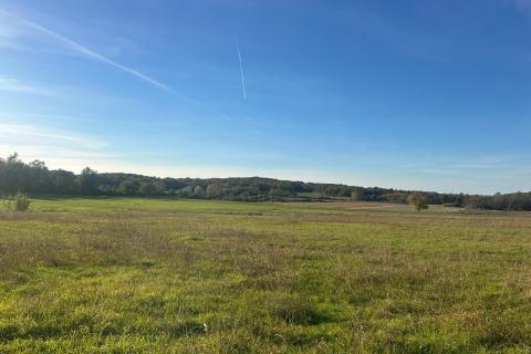 Poreč, okolica, poljoprivredno zemljište veličine 1508 m2