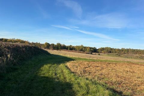 Poreč, okolica, poljoprivredno zemljište veličine 2010 m2