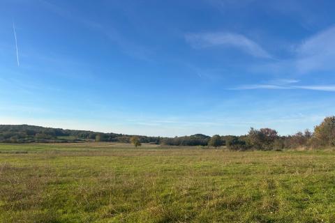 Poreč, okolica, poljoprivredno zemljište veličine 2010 m2