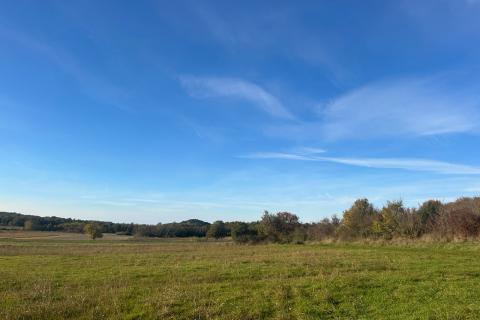 Poreč, okolica, poljoprivredno zemljište veličine 1632 m2
