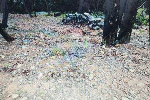 Rijeka, Srdoči - građevinsko zemljište 1716m2