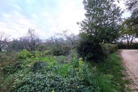 Istra,Brtonigla-Građevinsko zemljište na odličnoj lokaciji