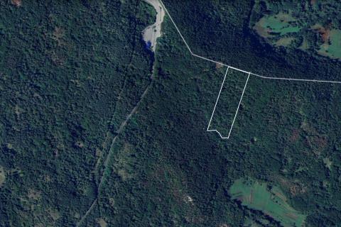 MATULJI - BRDCE - ŠUMA - 17.200 m2