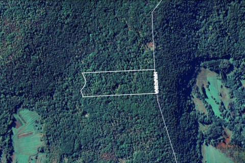 MATULJI - BRDCE - ŠUMA - 17.200 m2