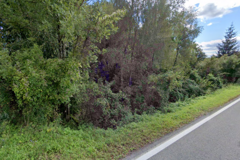 Poljoprivredni teren - Lokve - 4000 m2