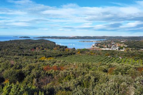 Rovinj - fantastično zemljište s pogledom na more 2000 m2