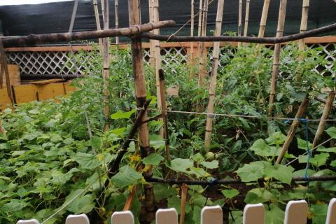 Rijeka, Marinići - 2s+db i Garsonjera, s parkingom i okućnicom