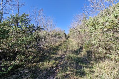 Istra, Rakalj- poljoprivredno zemljište 5523 m2