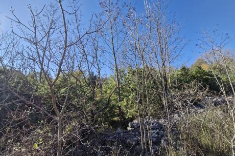 Istra, Rakalj- poljoprivredno zemljište 5523 m2