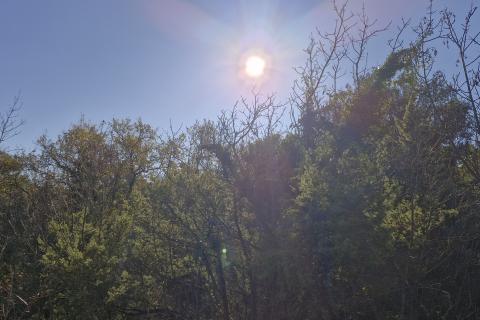 Istra, Rakalj- poljoprivredno zemljište 5523 m2