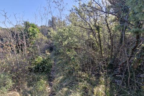 Istra, Rakalj- poljoprivredno zemljište 5523 m2