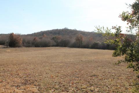 Rovinj, Rovinjsko Selo, veoma lijepa kampanja na Frati