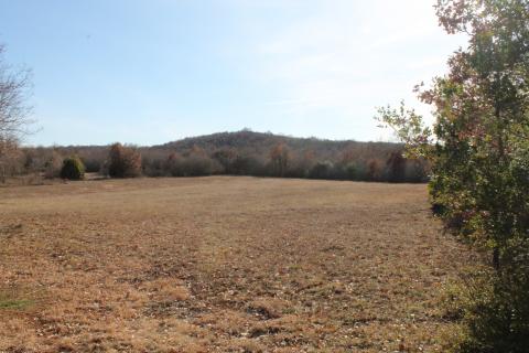 Rovinj, Rovinjsko Selo, veoma lijepa kampanja na Frati