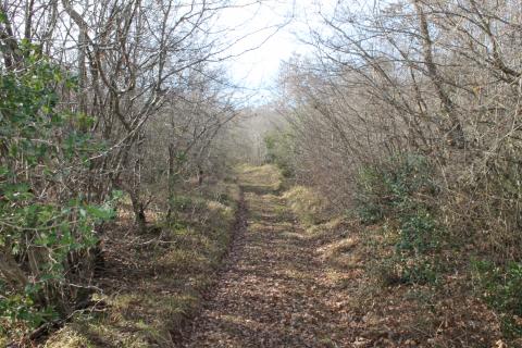 Rovinj, Rovinjsko Selo, veoma lijepa kampanja na Frati