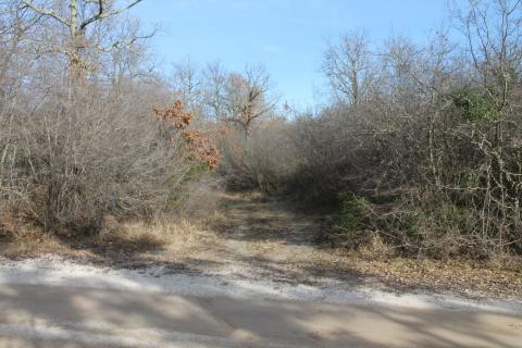 Rovinj, Rovinjsko Selo, veoma lijepa kampanja na Frati