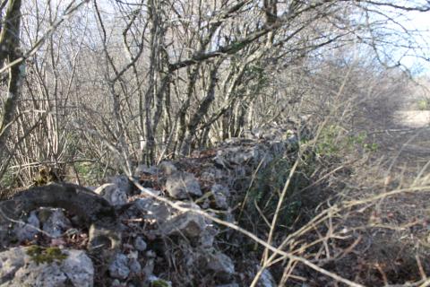 Rovinj, Rovinjsko Selo, veoma lijepa kampanja na Frati