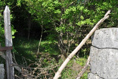 Jušići, Matulji, atraktivno zemljište, 4130 m2 - pogled na more