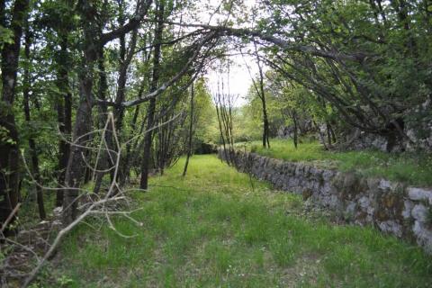 Jušići, Matulji, atraktivno zemljište, 4130 m2 - pogled na more