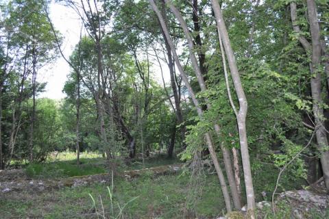 Jušići, Matulji, atraktivno zemljište, 4130 m2 - pogled na more