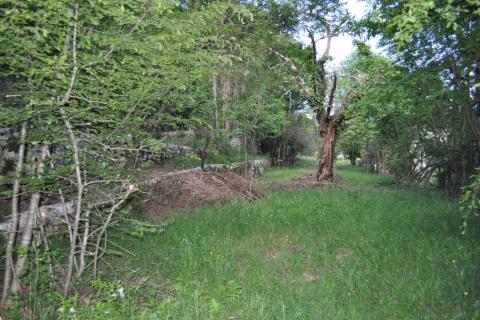 Jušići, Matulji, atraktivno zemljište, 4130 m2 - pogled na more