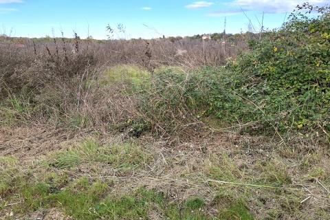 Murine,građevinsko zemljište sa građevinskom dozvolom i projektom