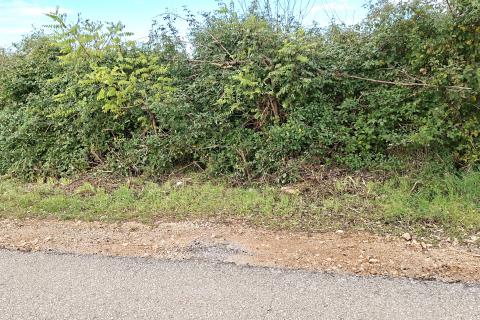 Murine,građevinsko zemljište sa građevinskom dozvolom i projektom