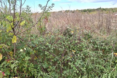 Murine,građevinsko zemljište sa građevinskom dozvolom i projektom