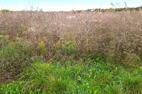 Murine,građevinsko zemljište sa građevinskom dozvolom i projektom