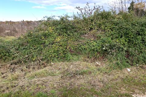 Murine,građevinsko zemljište sa građevinskom dozvolom i projektom