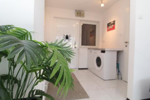 Istra, Novigrad - Dvosoban stan s pogledom na more u okolici